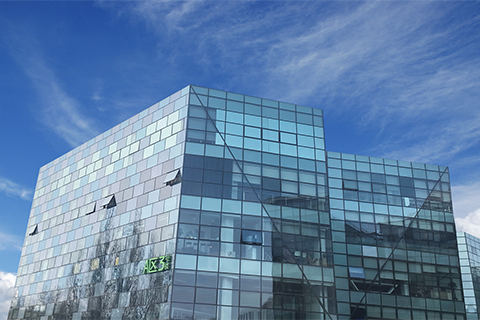 Development 2011